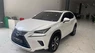 Lexus NX 300 2019 - Chính chủ bán Lexus NX300 mode 2019, sơn zin cả xe, full lịch sử hãng